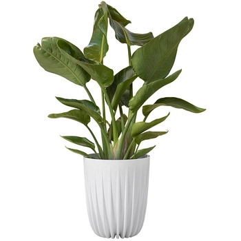 DONICZKA MIRA ECO BIAŁA LAMELE + WKŁAD